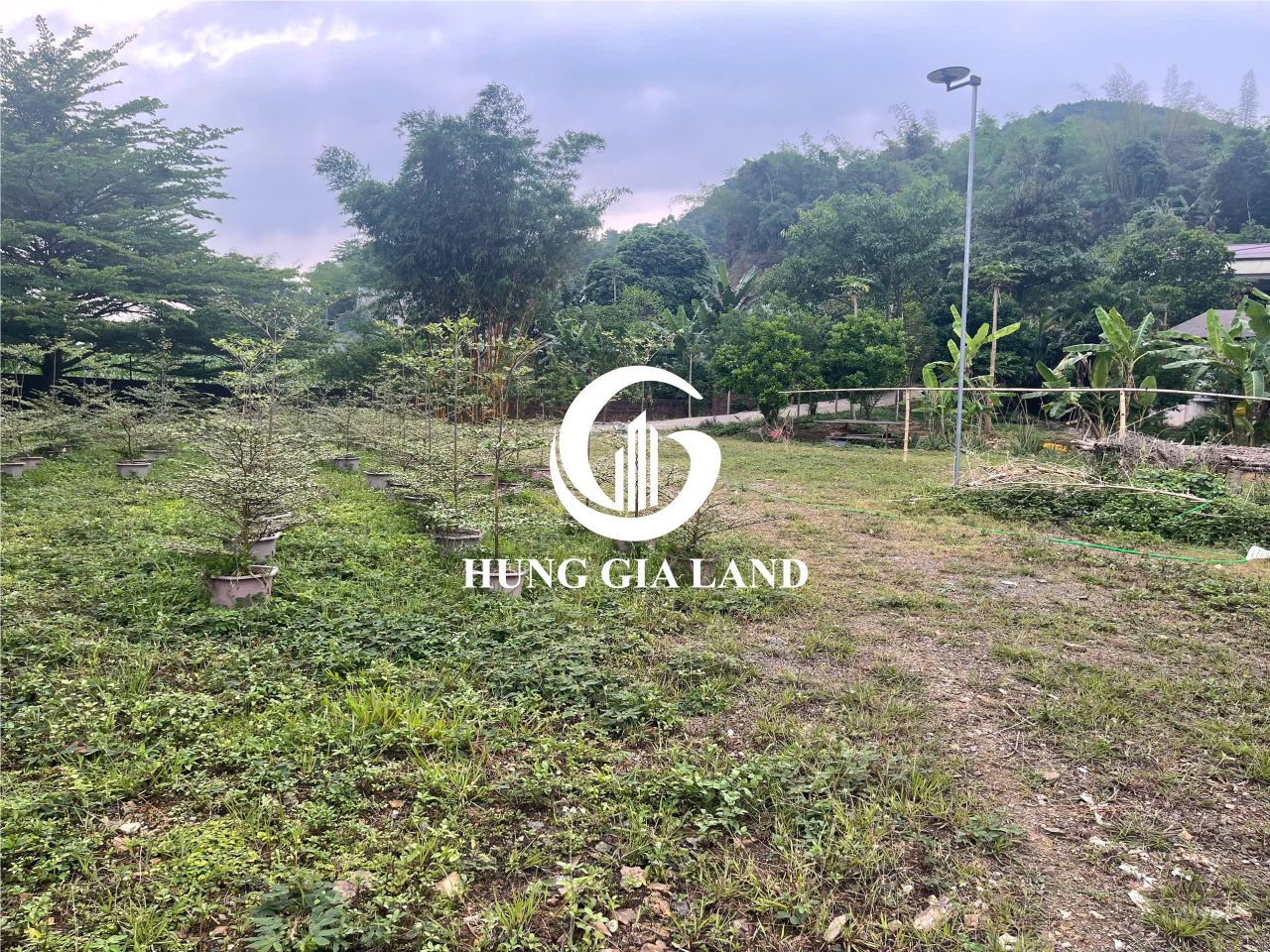 BÁN ĐẤT PHƯỜNG NÙNG TRÍ CAO