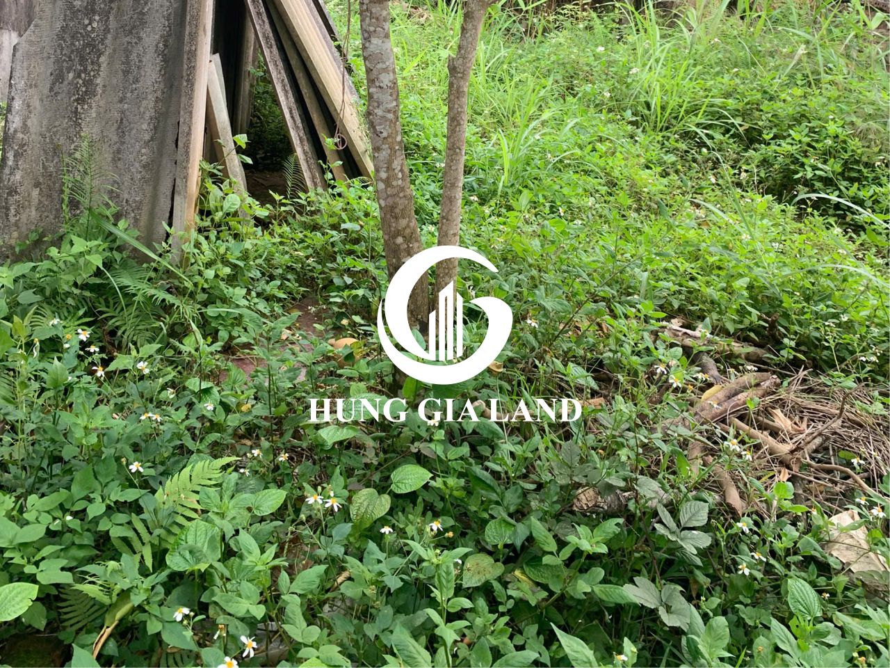 BÁN ĐẤT SÔNG HIẾN - PHƯỜNG THỤC PHÁN.