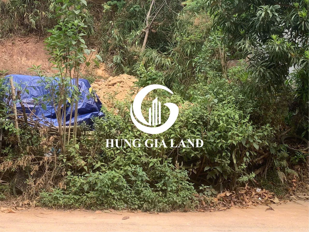 BÁN ĐẤT PHƯỜNG TÂN GIANG