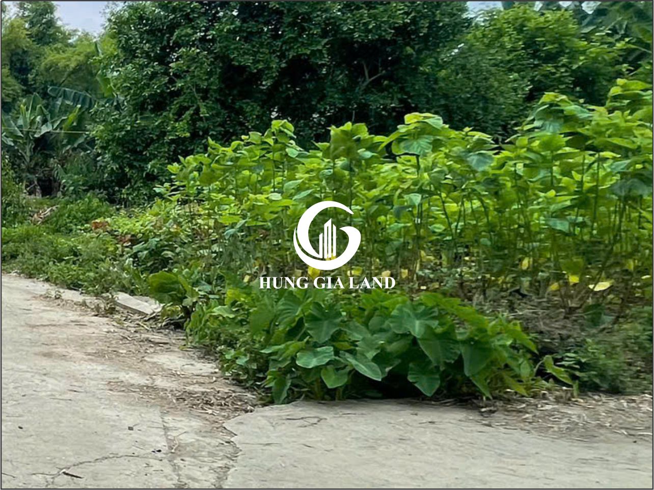 BÁN ĐẤT TỔ DÂN PHỐ ĐÀ QUẬN - PHƯỜNG THỤC PHÁN